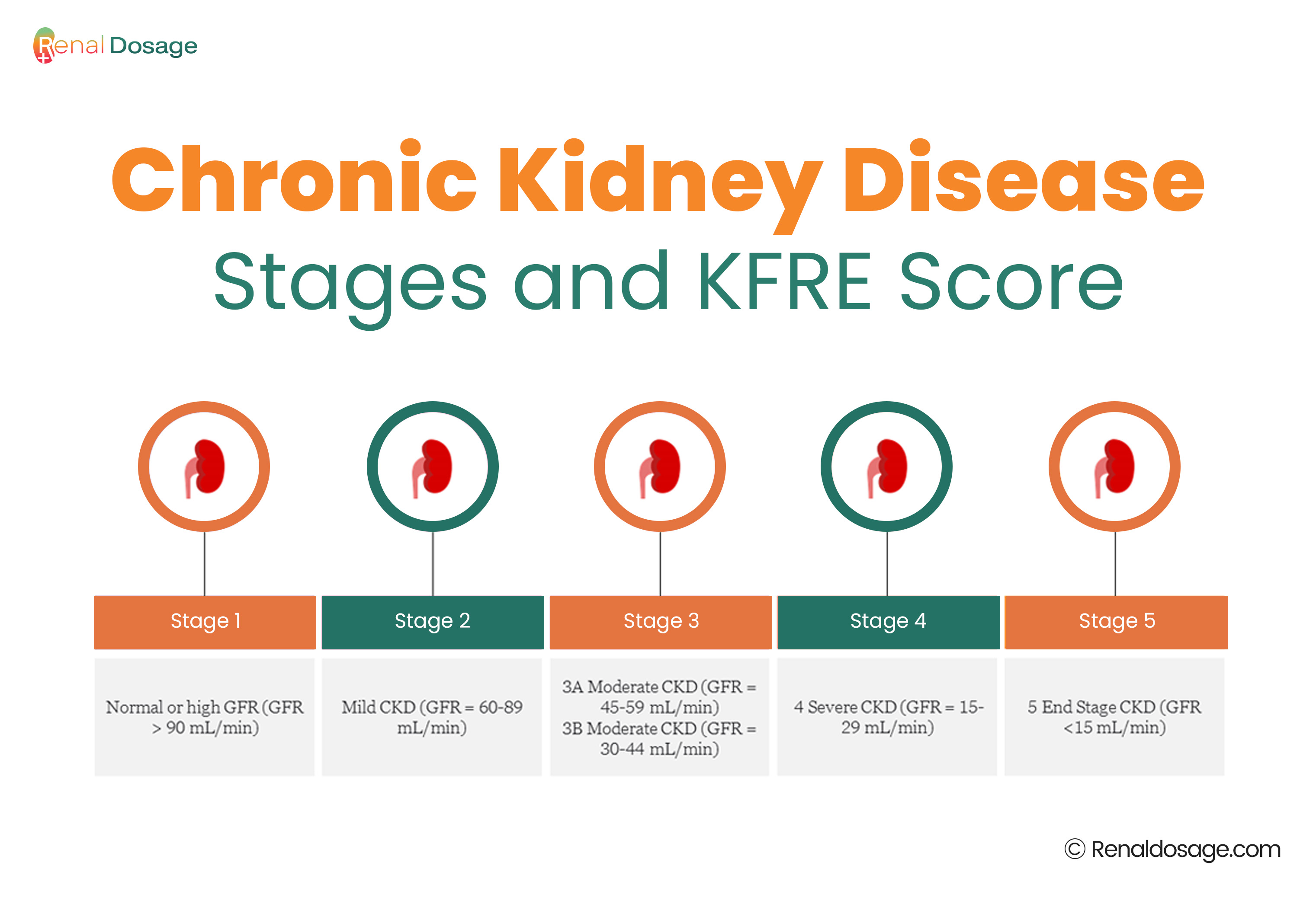 Chronic Kidney Disease Stages and KFRE Score